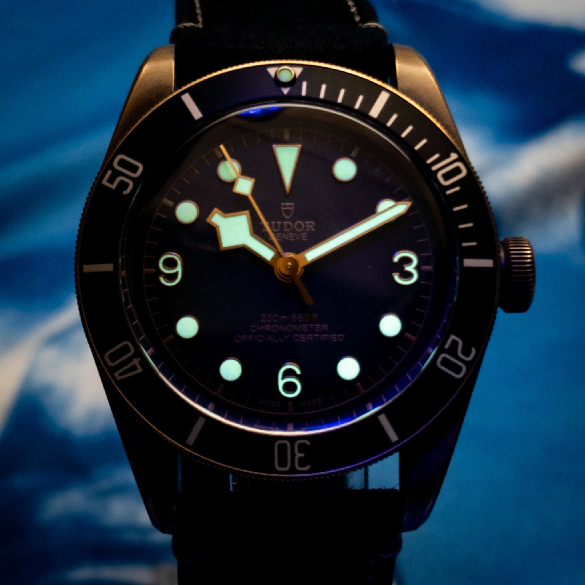 Tudor Black Bay (Ref. 79250BA-0001) — photo 11